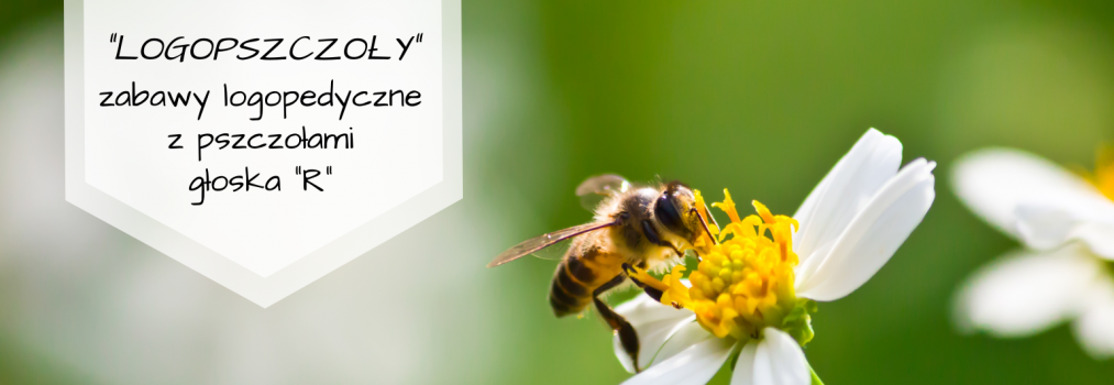 Logopszczoły, czyli zabawy logopedyczne z pszczołami i głoską R (i nie tylko), ćwiczenia analizy i syntezy wzrokowo-słuchowej
