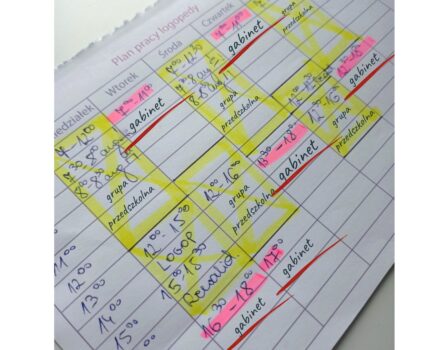 Plan pracy logopedy. Jak zaplanować pracę logopedy.