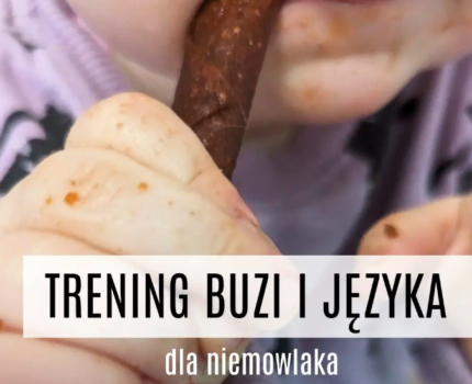 Rollsy w domu i w terapii logopedycznej? Tak czy nie? Okiem mamy-logopedy